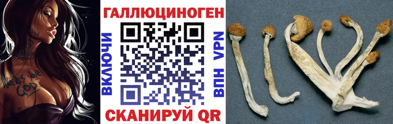 Галлюциногенные грибы MAGIC MUSHROOMS  Сызрань 