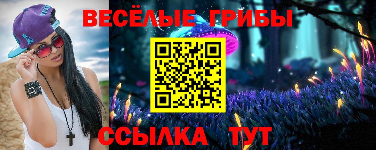 купить   Галлюциногенные грибы Psilocybine cubensis  Псилоцибиновые грибы Psilocybe  Вход с VPN  Сызрань 